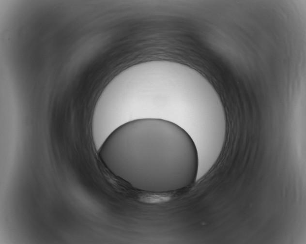 X0000085320239200703091121