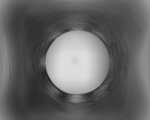 X0000085320240200703091121