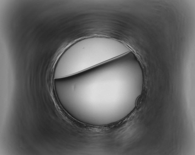 X0000085320241200703091121