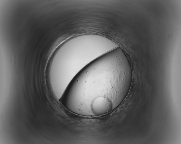 X0000085320242200703091121