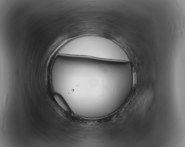 X0000085320243200703091121