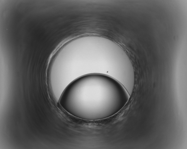 X0000085320244200703091121