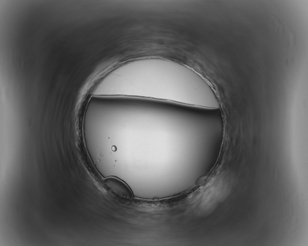 X0000085320245200703091121