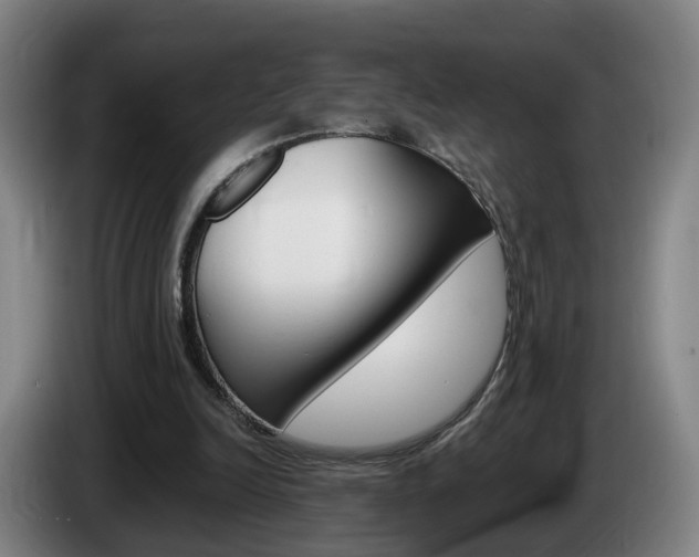X0000085320246200703091121