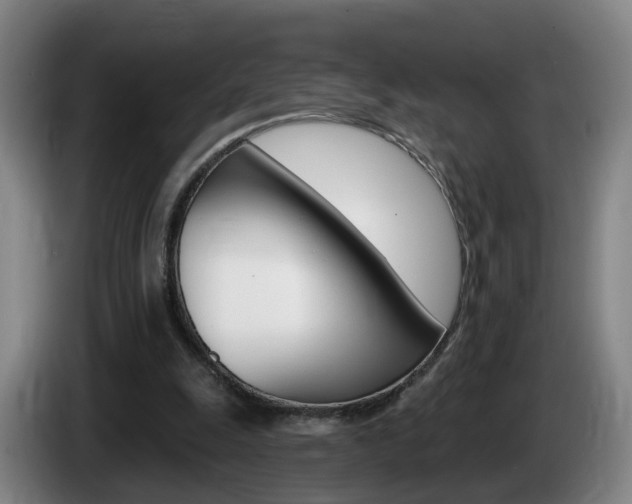 X0000085320247200703091121
