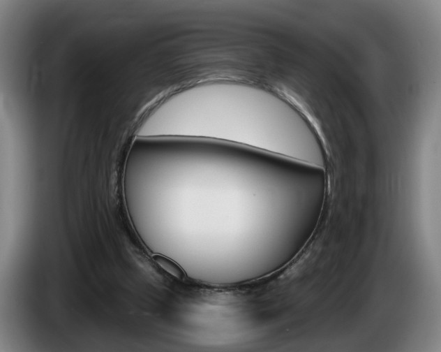 X0000085320249200703091121