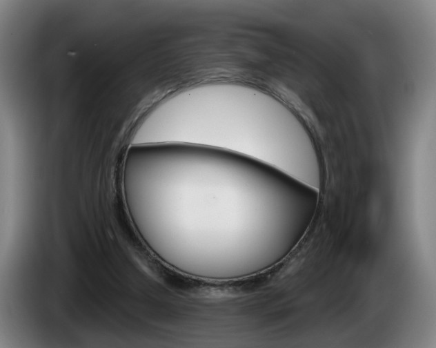 X0000085320250200703091121