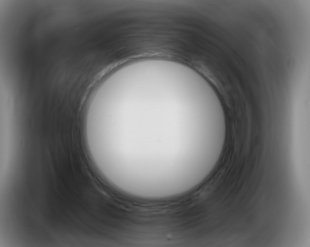 X0000085320252200703091121