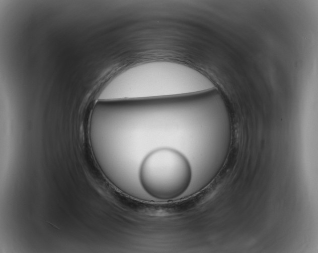 X0000085320254200703091121