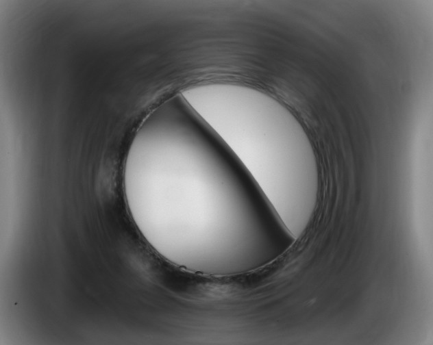 X0000085320255200703091121
