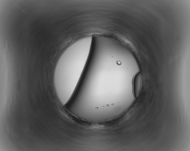X0000085320257200703091121