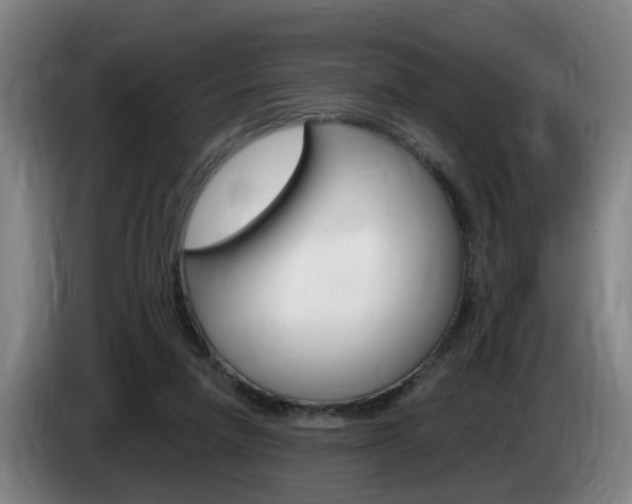 X0000085320258200703091121