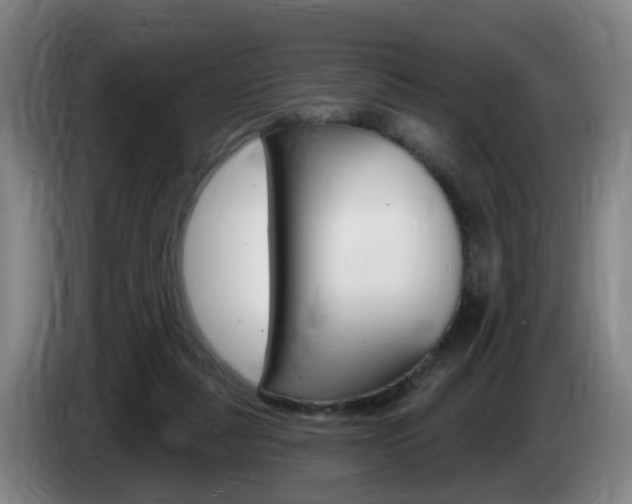 X0000085320259200703091121