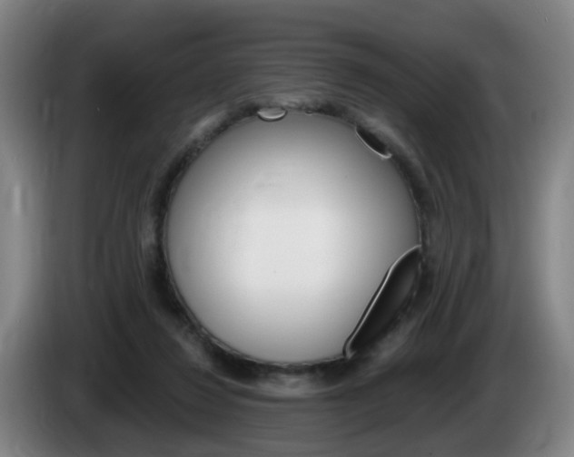 X0000085320260200703091121