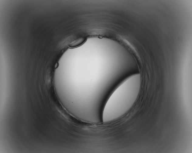 X0000085320261200703091121