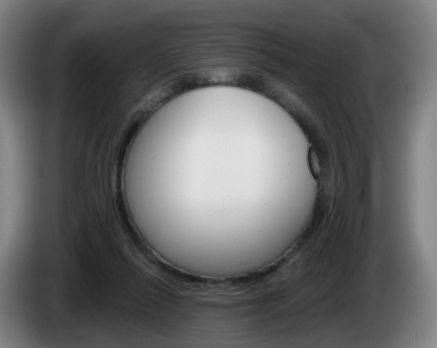 X0000085320262200703091121