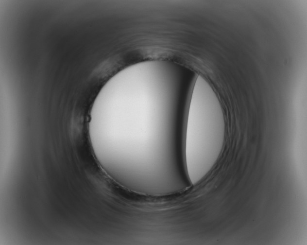 X0000085320263200703091121