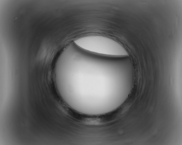 X0000085320266200703091121