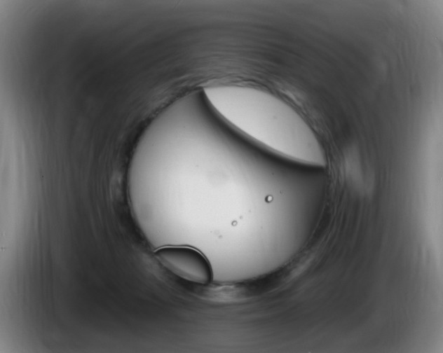 X0000085320269200703091121