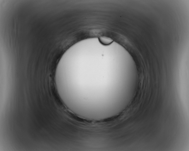 X0000085320270200703091121