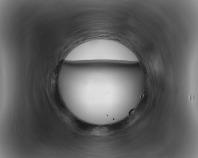 X0000085320271200703091121