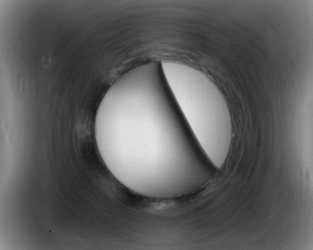 X0000085320274200703091121