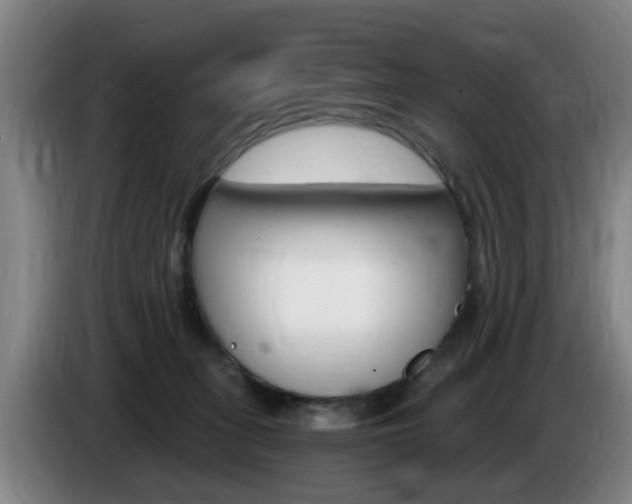 X0000085320275200703091121