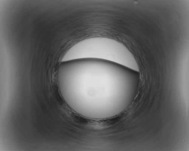 X0000085320276200703091121