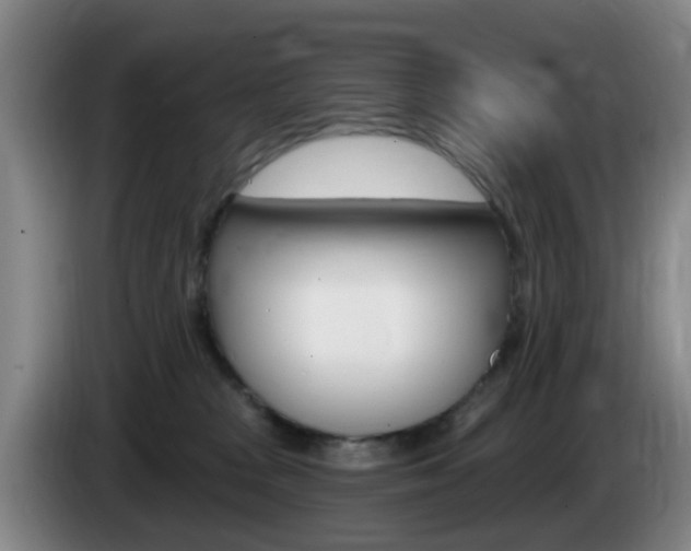 X0000085320277200703091121