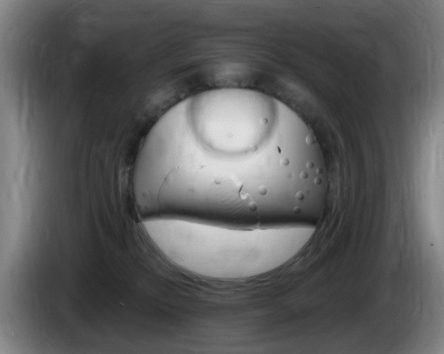 X0000085320278200703091121