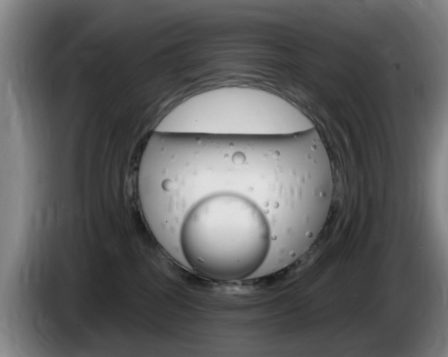 X0000085320282200703091121