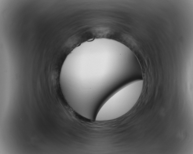 X0000085320283200703091121