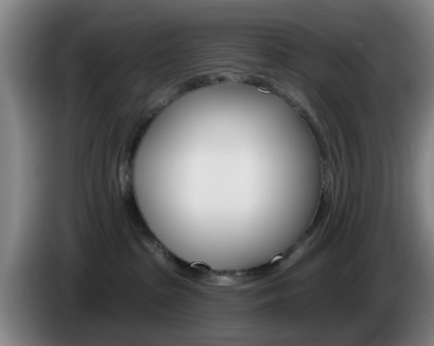 X0000085320285200703091121