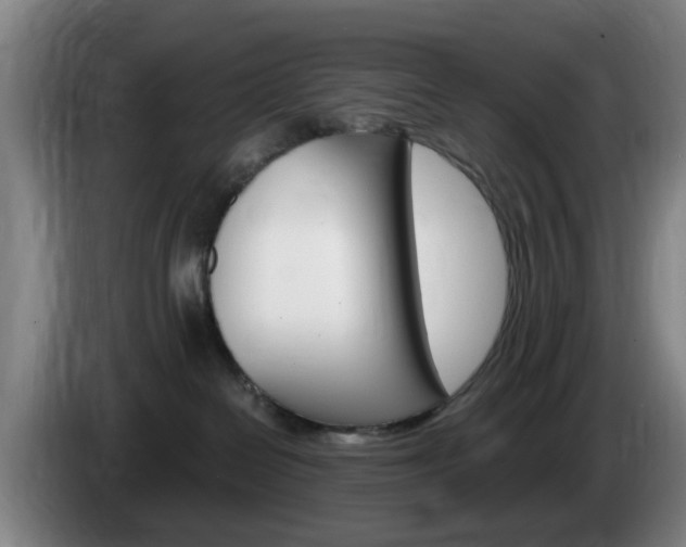 X0000085320286200703091121