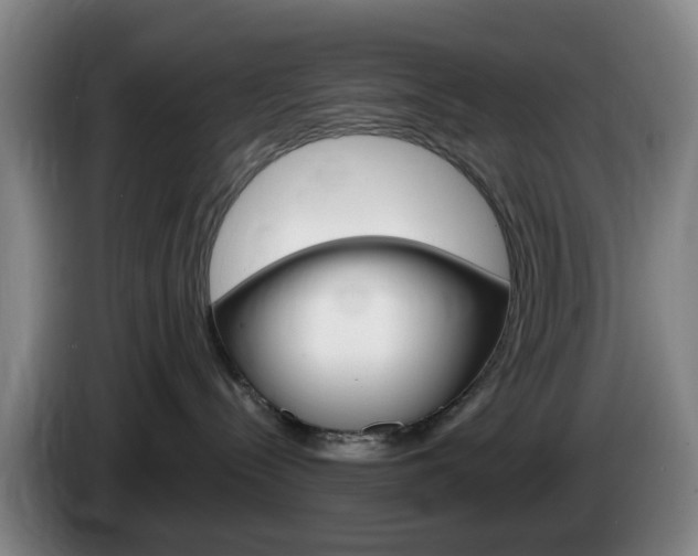 X0000085320288200703091121