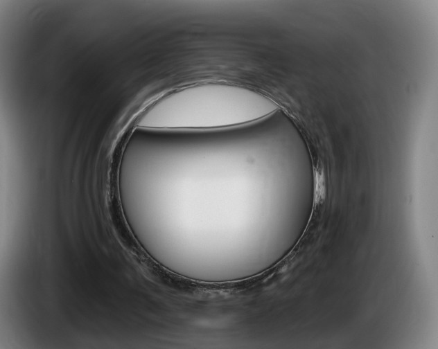 X0000085320291200703091121
