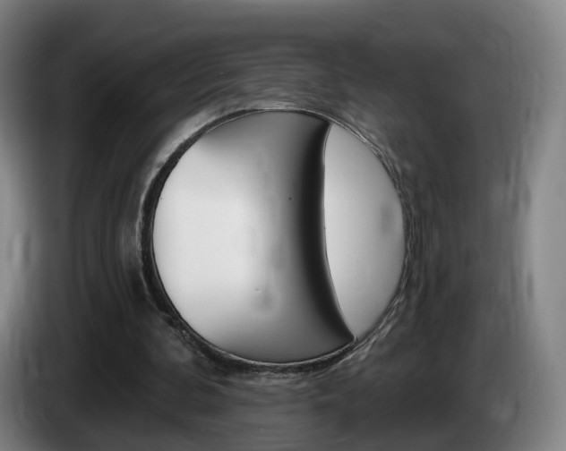 X0000085320292200703091121