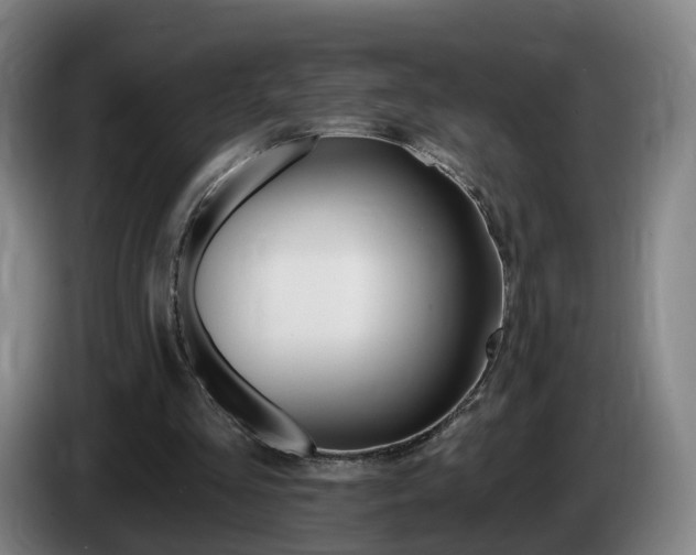 X0000085320293200703091121