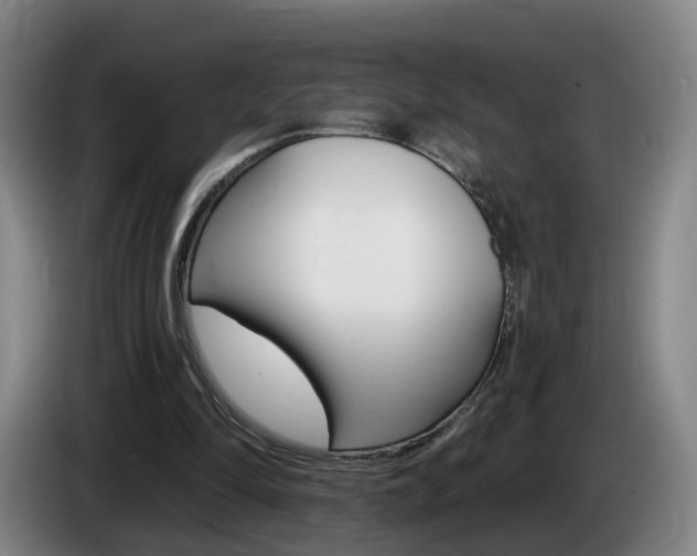 X0000085320294200703091121