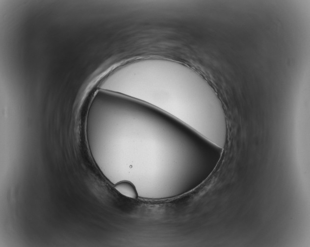 X0000085320295200703091121