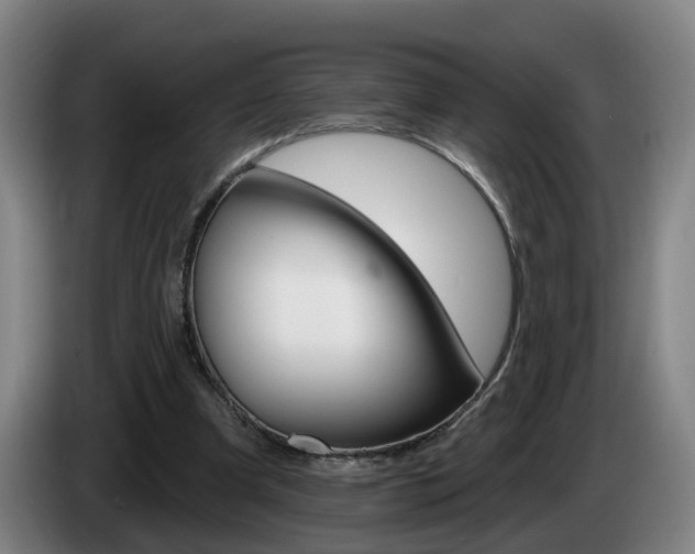 X0000085320297200703091121