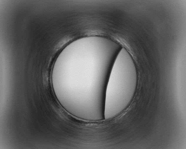 X0000085320298200703091121