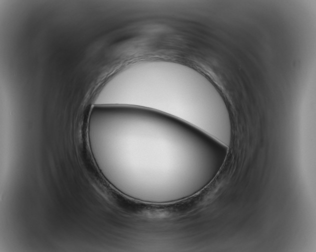 X0000085320299200703091121