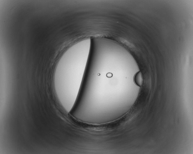 X0000085320303200703091120