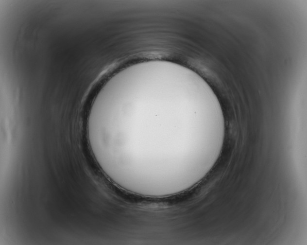 X0000085320304200703091120
