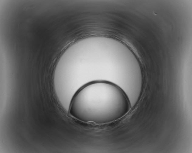 X0000085320305200703091120