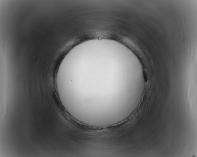 X0000085320306200703091120