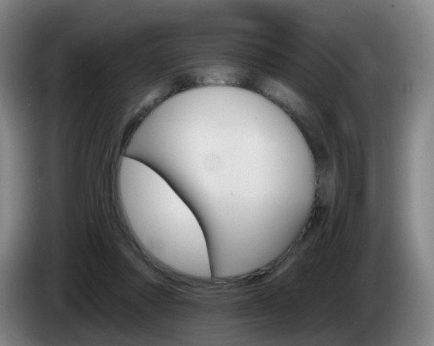 X0000085320310200703091120