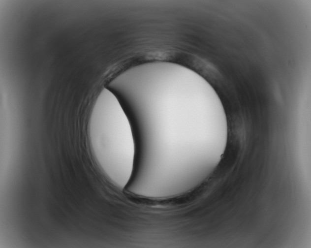 X0000085320312200703091120