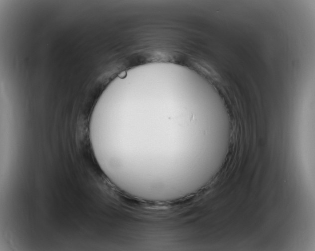 X0000085320318200703091120